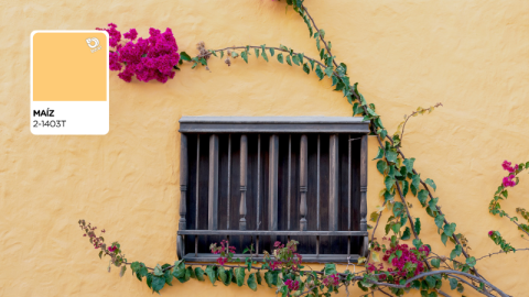color berel 2025 amarillo maiz en pared exterior