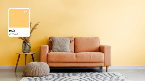 color berel 2025 amarillo maiz en sala naranja